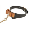 Generique Collier et Laisse Butler Noir et Marron